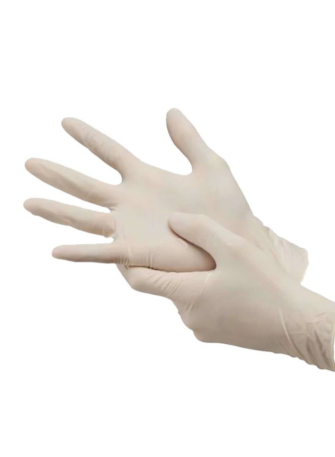 Euroglove Disposable Latex Gloves 100Pcs Powdered Large